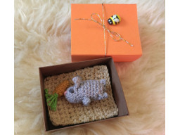 Zoo Boxes